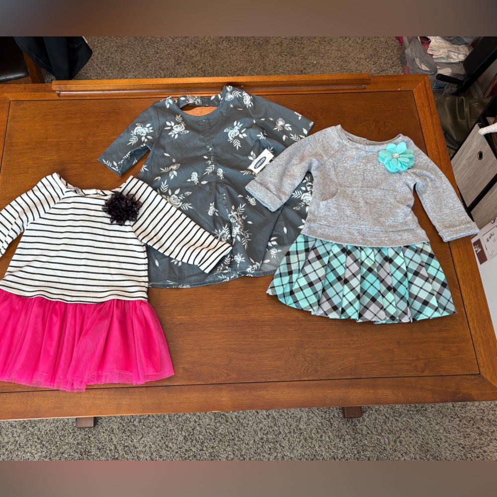 Bundle of 4 Dresses 2T
